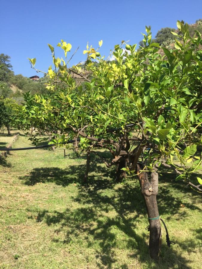 SantʼAlessio Siculo Frank Sinatra - Appartamento Vicino Taormina מראה חיצוני תמונה